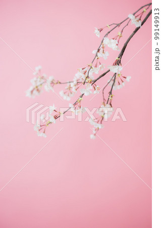 桜　アーティフィシャルフラワー　春 99149913