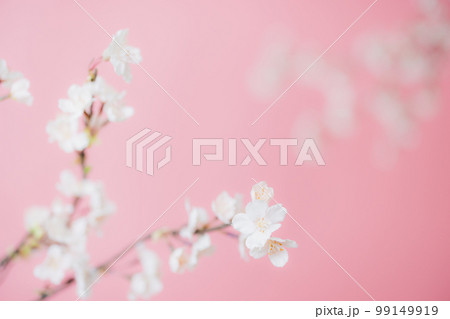 桜　アーティフィシャルフラワー　春 99149919