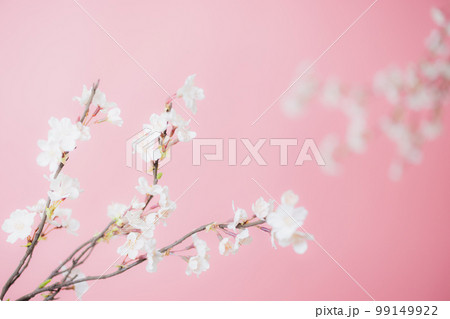 桜 アーティフィシャルフラワー 春 桜 アーティフィシャルフラワー 春 99149922