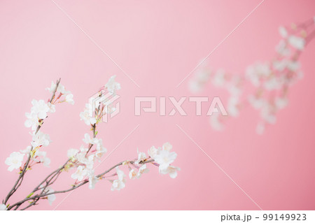 桜 アーティフィシャルフラワー 春 桜 アーティフィシャルフラワー 春 99149923
