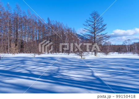 雪原のシルエット 99150418