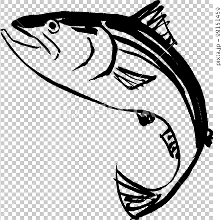 三文魚三文魚墨水繪畫水彩手繪 三文魚三文魚墨水繪畫水彩手繪 99151459
