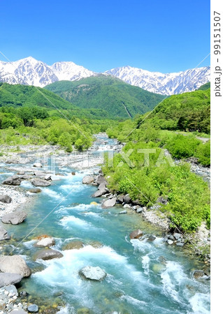 新緑の松川と白馬三山 新緑の松川と白馬三山 99151507