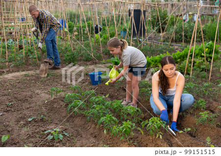 Friendly family working together on backyard garden 99151515