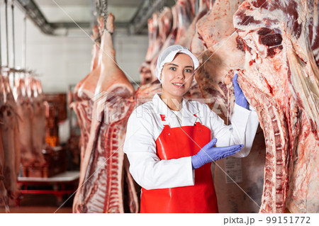 Female butcher arranging raw beef carcasses hanging in chilling room Female butcher arranging raw beef carcasses hanging in chilling room 99151772