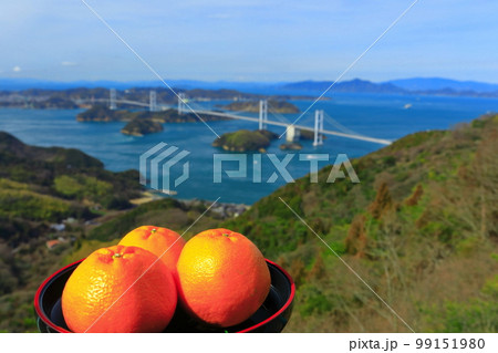 【愛媛県】ミカンと来島海峡大橋の眺望(しまなみ海道) 【愛媛県】ミカンと来島海峡大橋の眺望(しまなみ海道) 99151980