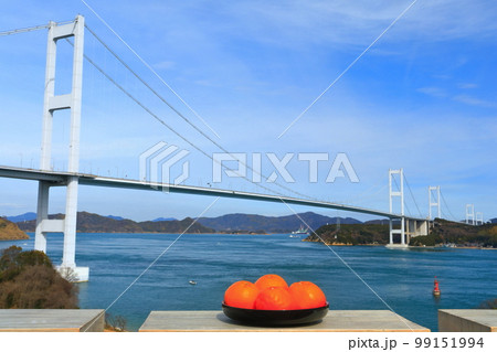 【愛媛県】ミカンと来島海峡大橋（しまなみ海道） 99151994