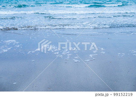 砂浜 99152219