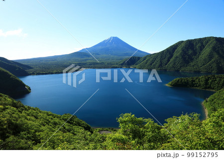 中之倉峠より望む夏富士 中之倉峠より望む夏富士 99152795