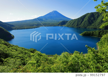 中之倉峠より望む夏富士 99152797