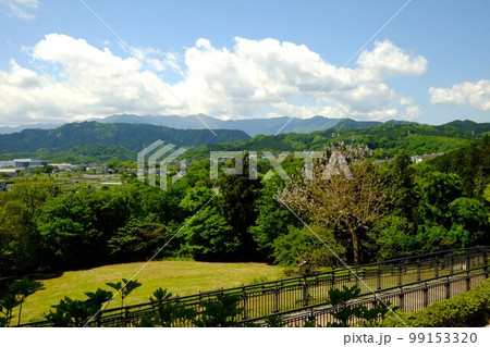 桐の花咲く芝生広場と北丹沢の山々 【相模原市津久井 5月】 桐の花咲く芝生広場と北丹沢の山々 【相模原市津久井 5月】 99153320