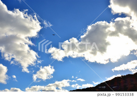 駿河湾と晩秋の空 99153338
