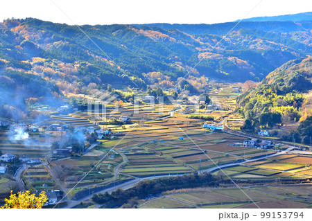 晩秋の伊豆地方の農村風景 晩秋の伊豆地方の農村風景 99153794