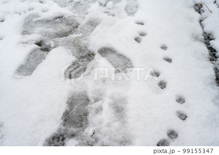 雪の日の東京 99155347