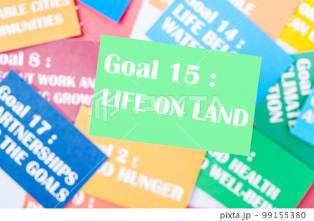 The Goal 15 99155380