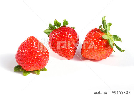 いちご（恋のぞみ/品種名は「恋みのり」） 99155388