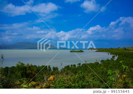 沖縄　コバルトブルーの海 99155645