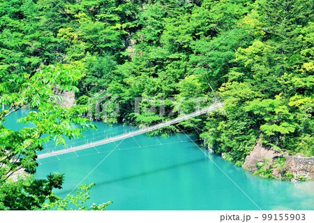 静岡県 初夏の新緑と夢の吊り橋(寸又峡) 静岡県 初夏の新緑と夢の吊り橋(寸又峡) 99155903