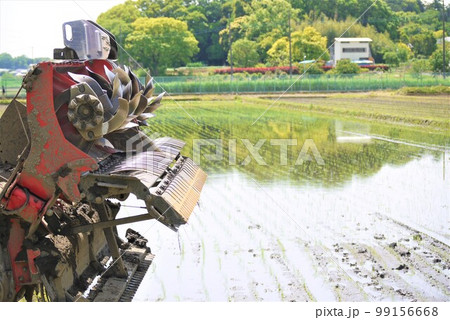 田植えの季節、秋の豊作を願って。 田植えの季節、秋の豊作を願って。 99156668