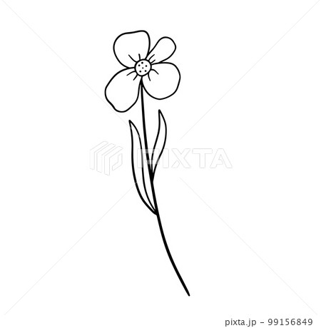 Hand drawn flower daisy. Vector outline sketch. Line art doodle isolated on white background Hand drawn flower daisy. Vector outline sketch. Line art doodle isolated on white background 99156849