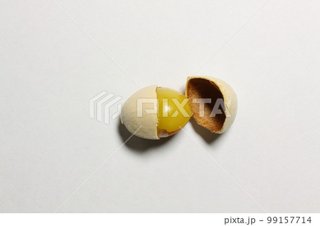 秋の味覚 銀杏 秋の味覚 銀杏 99157714