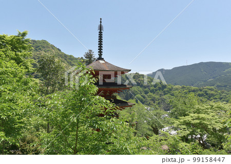 新緑の長谷寺 五重塔 奈良県桜井市初瀬 新緑の長谷寺 五重塔 奈良県桜井市初瀬 99158447