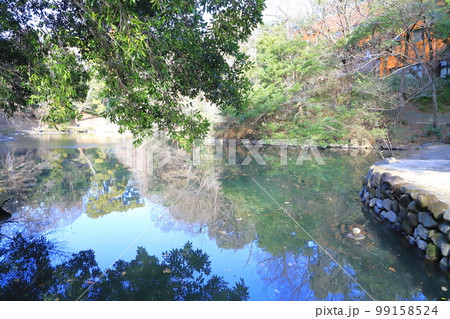 東大本郷キャンパス内の三四郎池 東大本郷キャンパス内の三四郎池 99158524