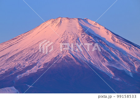 紅富士 紅富士 99158533