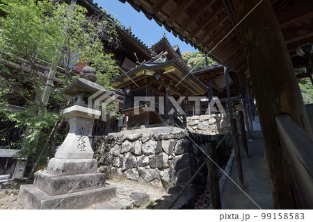 新緑の長谷寺　石灯篭と三百余社　奈良県桜井市初瀬 99158583