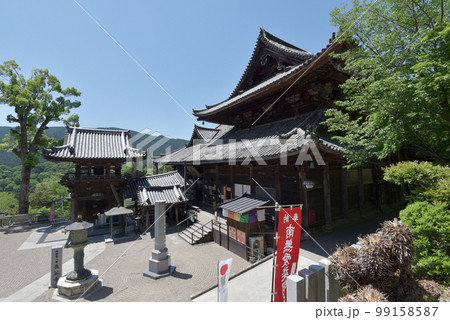 新緑の長谷寺　愛染堂から望む本堂　奈良県桜井市初瀬 99158587