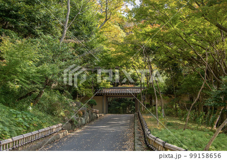 大磯城山公園 神奈川県中郡大磯町 大磯城山公園 神奈川県中郡大磯町 99158656