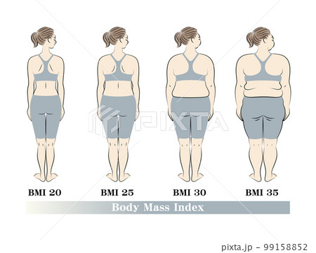 ボディマス指数別の体型変化 女性の後ろ姿 BMI (Body Mass Index) イラスト ボディマス指数別の体型変化 女性の後ろ姿 BMI (Body Mass Index) イラスト 99158852