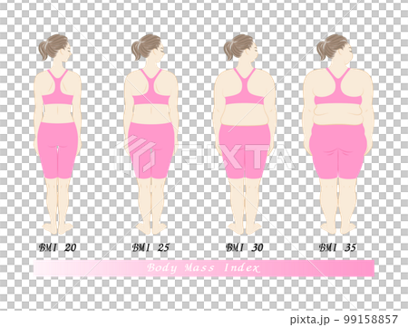 BMI指数別の体型変化 女性の後ろ姿 ダイエットのビフォーアフター イラスト ベクター 99158857
