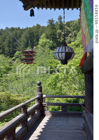 新緑の長谷寺　本堂から五重塔を望む　奈良県桜井市初瀬 99158859