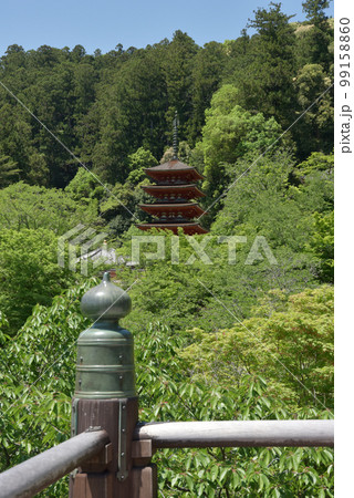 新緑の長谷寺 本堂から五重塔を望む 奈良県桜井市初瀬 新緑の長谷寺 本堂から五重塔を望む 奈良県桜井市初瀬 99158860