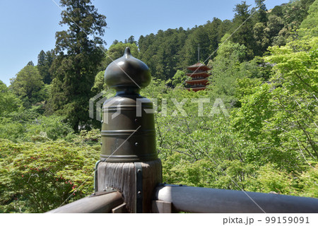 新緑の長谷寺　本堂の舞台から五重塔を望む　奈良県桜井市初瀬 99159091