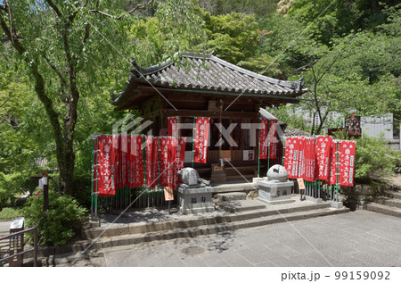 新緑の長谷寺 大黒堂 奈良県桜井市初瀬 新緑の長谷寺 大黒堂 奈良県桜井市初瀬 99159092
