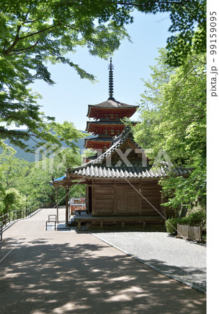 新緑の長谷寺　本長谷寺と五重塔　奈良県桜井市初瀬 99159095