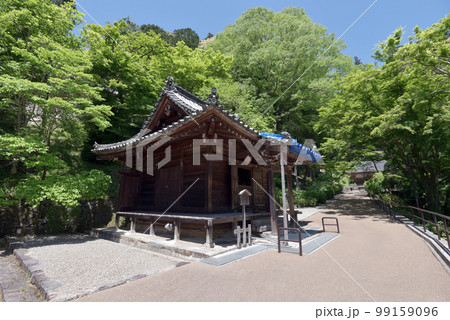 新緑の長谷寺 本長谷寺 奈良県桜井市初瀬 新緑の長谷寺 本長谷寺 奈良県桜井市初瀬 99159096