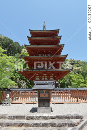 新緑の長谷寺 五重塔 奈良県桜井市初瀬 新緑の長谷寺 五重塔 奈良県桜井市初瀬 99159207