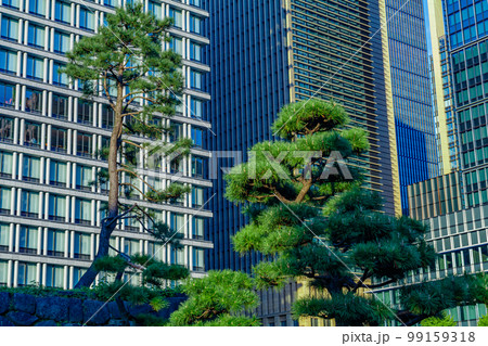 【東京の都市風景】和田倉噴水公園の都市風景 99159318