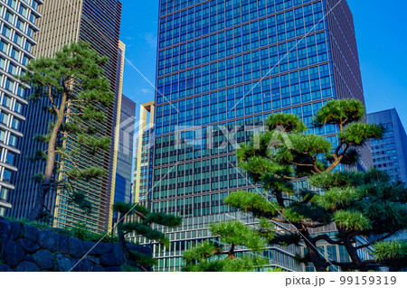 【東京の都市風景】和田倉噴水公園の都市風景 99159319