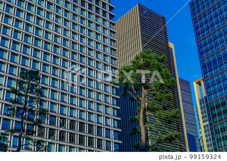 【東京の都市風景】和田倉噴水公園の都市風景 99159324