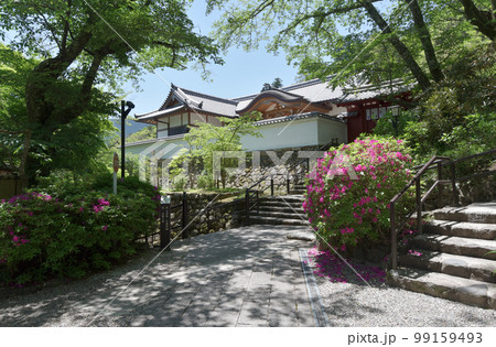 新緑の長谷寺 本願院 奈良県桜井市初瀬 新緑の長谷寺 本願院 奈良県桜井市初瀬 99159493