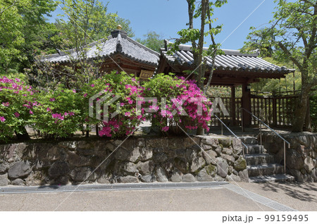 新緑の長谷寺　六角堂　奈良県桜井市初瀬 99159495