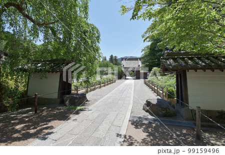 新緑の長谷寺 本坊入口と参道 奈良県桜井市初瀬 新緑の長谷寺 本坊入口と参道 奈良県桜井市初瀬 99159496