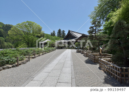 新緑の長谷寺 本坊 奈良県桜井市初瀬 新緑の長谷寺 本坊 奈良県桜井市初瀬 99159497