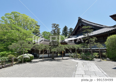 新緑の長谷寺 本坊 奈良県桜井市初瀬 新緑の長谷寺 本坊 奈良県桜井市初瀬 99159499