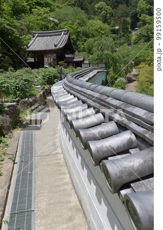 新緑の長谷寺　本坊の土塀と入口の門　奈良県桜井市初瀬 99159500