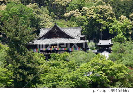 新緑の長谷寺　本坊から本堂を望む　奈良県桜井市初瀬 99159667